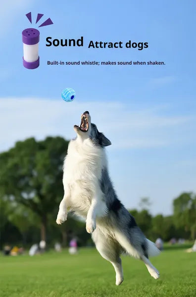 HKM-6930237 Interactive Sound Ball for Dogs and Cats – Pet Voice-Activated Squeaky Toy