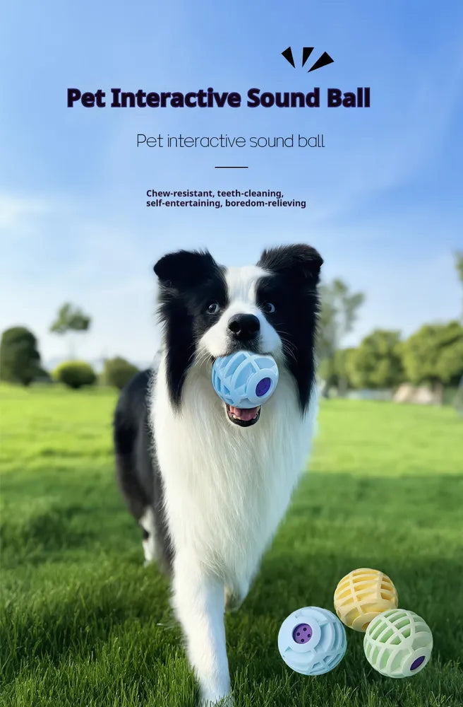 HKM-6930237 Interactive Sound Ball for Dogs and Cats – Pet Voice-Activated Squeaky Toy
