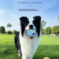 HKM-6930237 Interactive Sound Ball for Dogs and Cats – Pet Voice-Activated Squeaky Toy