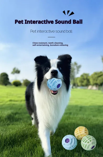 HKM-6930237 Interactive Sound Ball for Dogs and Cats – Pet Voice-Activated Squeaky Toy