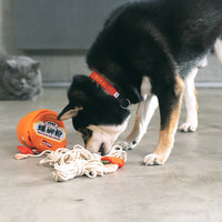 HKM-6931389 Snail Powder Hot Pot Sniffing Toy for Dogs - Interactive Treat Dispenser