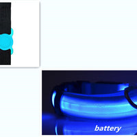 HKM-6932541 LED Luminous Dog Collar with Adjustable Silicone Locator for Night Safety - Multiple Sizes Available