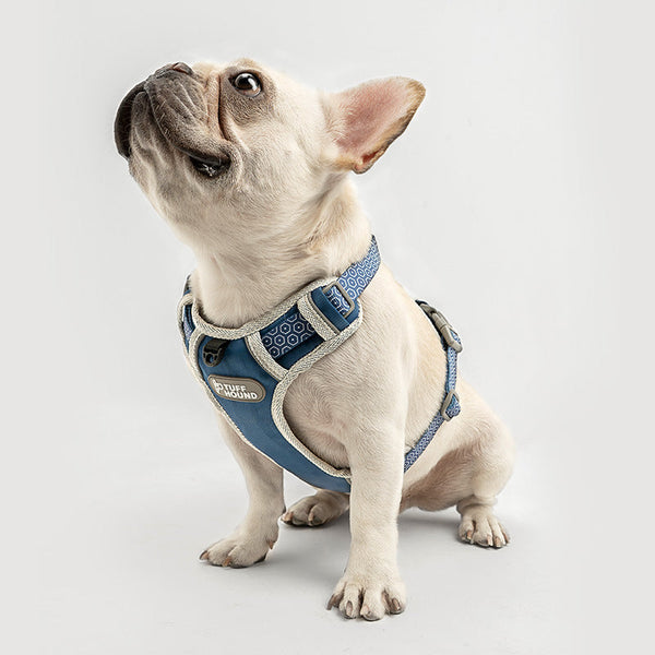 HKM-6935613 Adjustable Chest Strap Traction Rope Dog Chain - Multiple Sizes and Colors Available