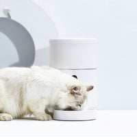 HKM-6940093 Automatic Pet Food Dispenser with Camera and APP Control, 4L Capacity, 1080P HD Video, Ideal for Cats and Dogs