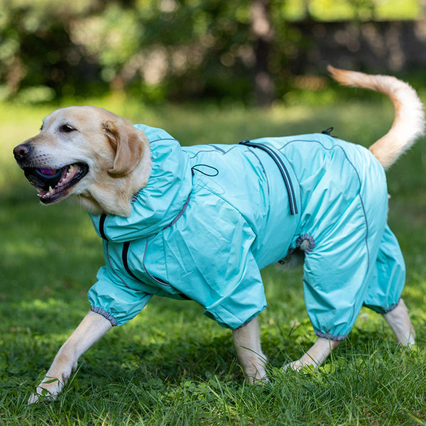 HKM-6940733 Warm Cotton-Padded Dog Shell Jacket in Various Sizes and Colors