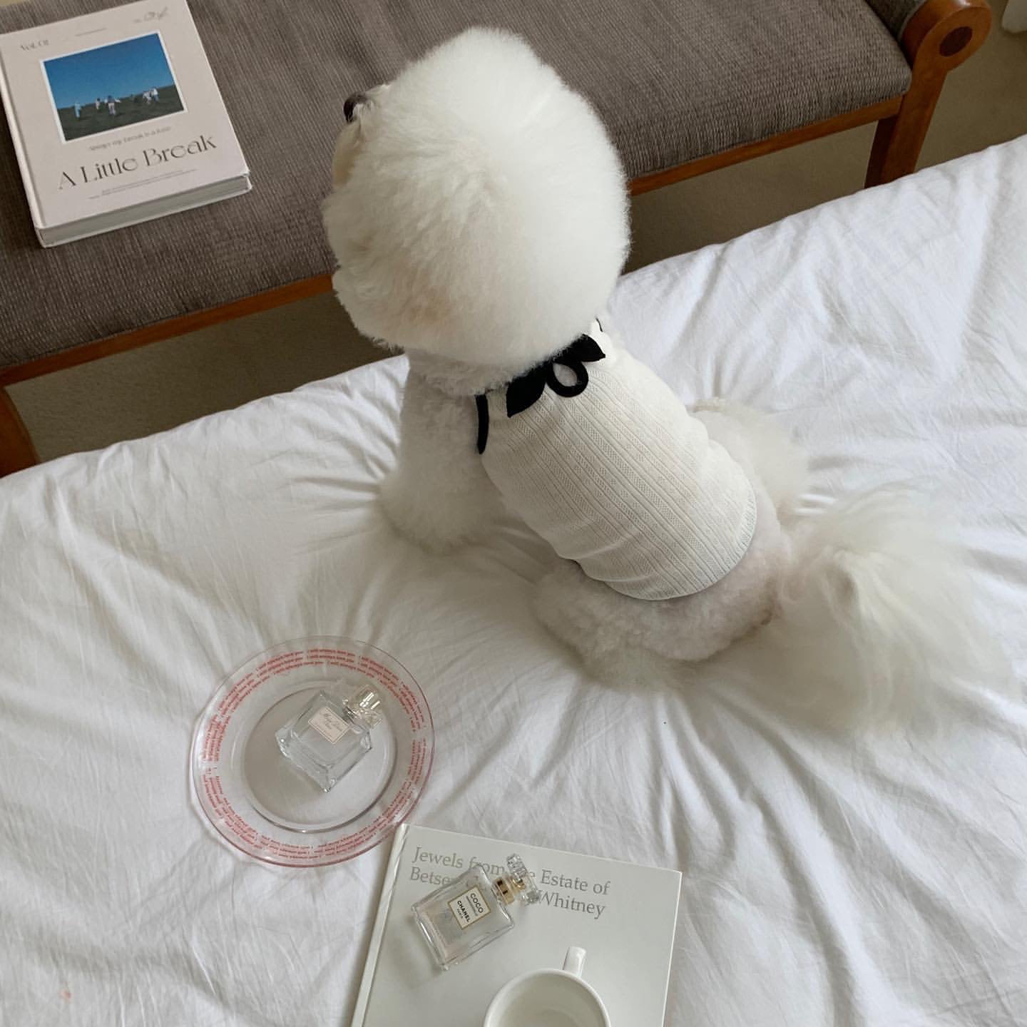 HKM-6947645 Fashionable Camisole Dog Clothes in White and Black - Sizes XS to XL