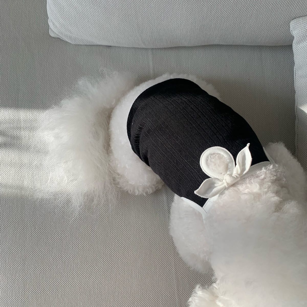 HKM-6947645 Fashionable Camisole Dog Clothes in White and Black - Sizes XS to XL
