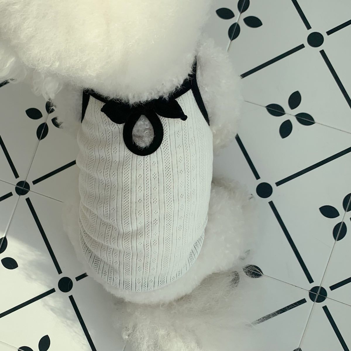 HKM-6947645 Fashionable Camisole Dog Clothes in White and Black - Sizes XS to XL