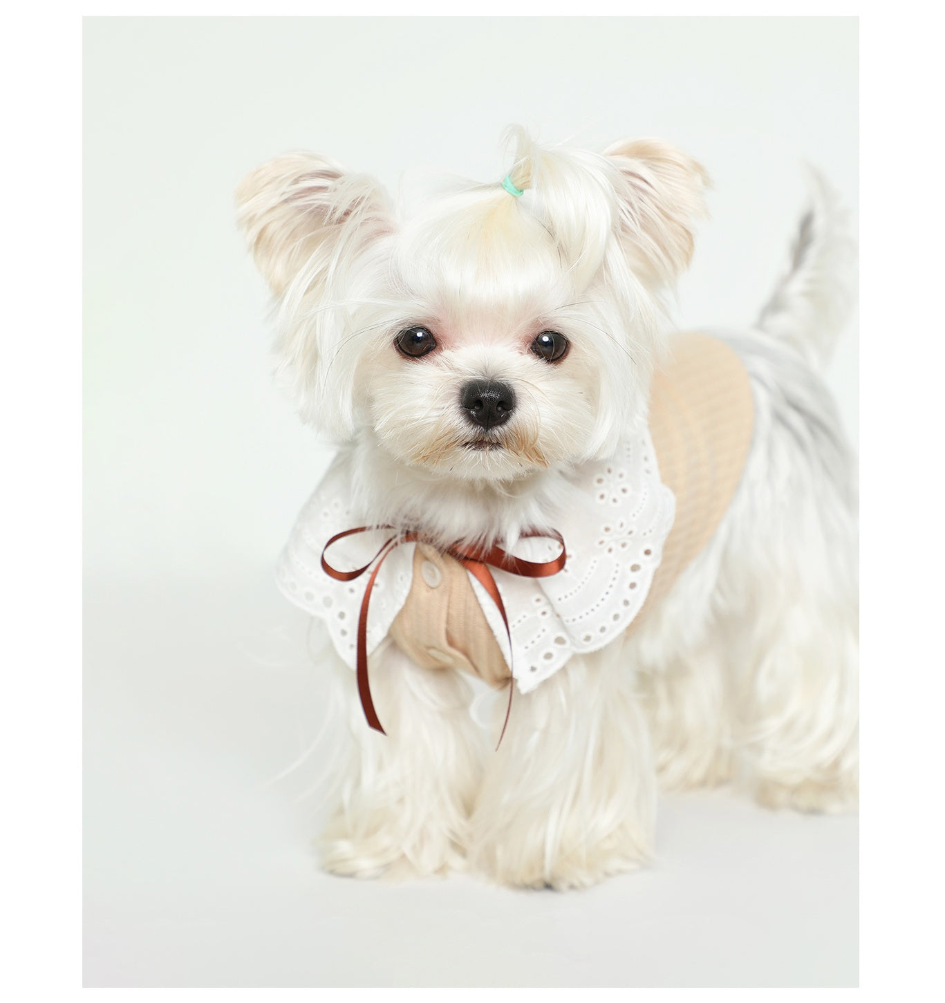 HKM-6948413 Pet Floral Neck Bow Vest for Spring and Autumn - Lightweight and Stretchy Fabric in Mikhaki