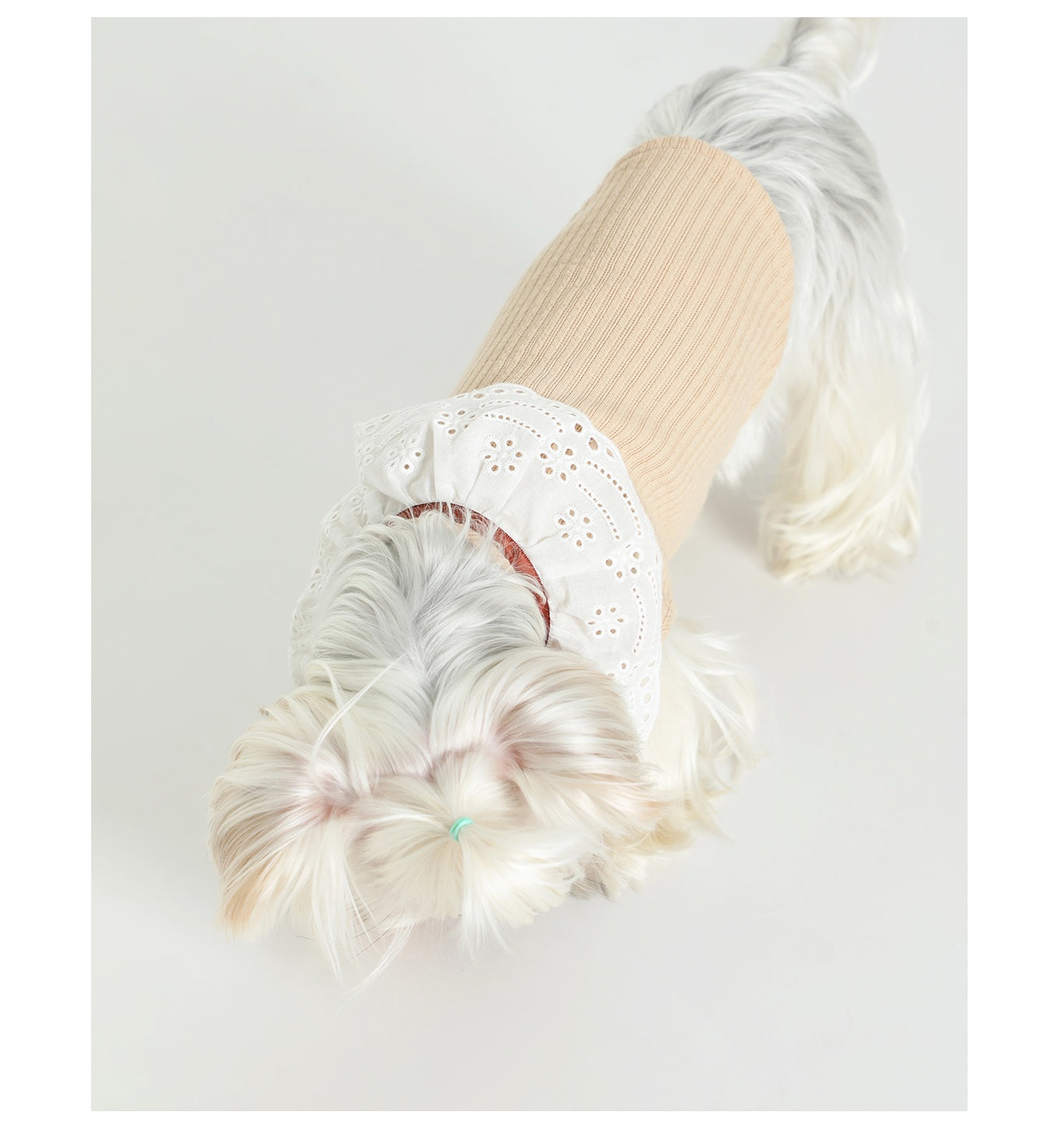 HKM-6948413 Pet Floral Neck Bow Vest for Spring and Autumn - Lightweight and Stretchy Fabric in Mikhaki