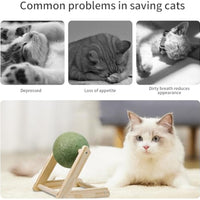 HKM-6949309 Natural Catnip Ball Toy with Wooden Holder for Indoor Cats - Safe and Healthy Catnip Treats