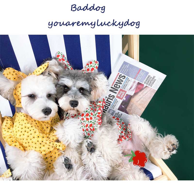HKM-6949437 Summer Cotton Dress for Small Dogs - Cherry, Yellow, Red, Sizes S-XXL