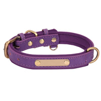 HKM-6949821 Engraved Anti-Lost Nameplate Dog Collar with Breathable Harness and Leash Options