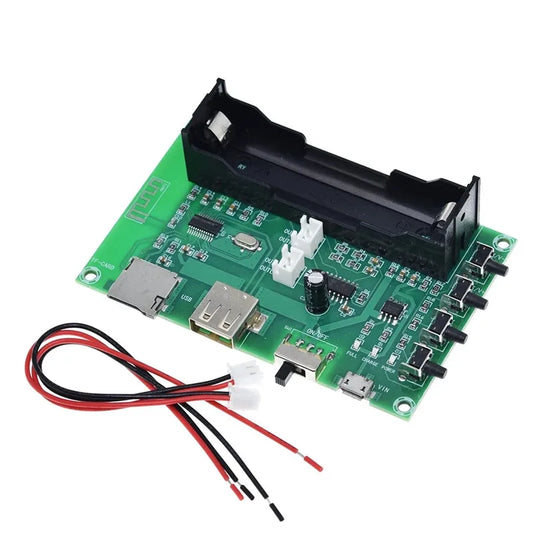 HKM-695187 Rechargeable Digital Amplifier Board with Dual Channel 10W Output