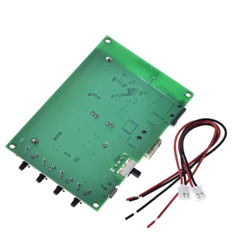 HKM-695187 Rechargeable Digital Amplifier Board with Dual Channel 10W Output