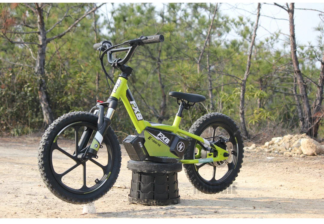 HKM-695251 Electric Balance Bike for Kids - 12/16 Inch, Aluminum Alloy Frame, 350W Motor, 2 Speed, Disc Brakes