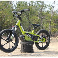HKM-695251 Electric Balance Bike for Kids - 12/16 Inch, Aluminum Alloy Frame, 350W Motor, 2 Speed, Disc Brakes