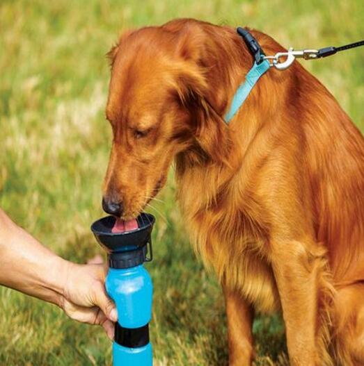 HKM-6953661 Portable Water Bottle for Dogs and Cats - Leak-Proof Outdoor Drinking Solution in Blue, Pink, and Brown