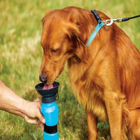 HKM-6953661 Portable Water Bottle for Dogs and Cats - Leak-Proof Outdoor Drinking Solution in Blue, Pink, and Brown