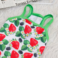 HKM-6954173 Breathable Outdoor Dog Sling Vest in Avocado, Strawberry, and Tropical Fruit ¨C XS to XL Sizes Available