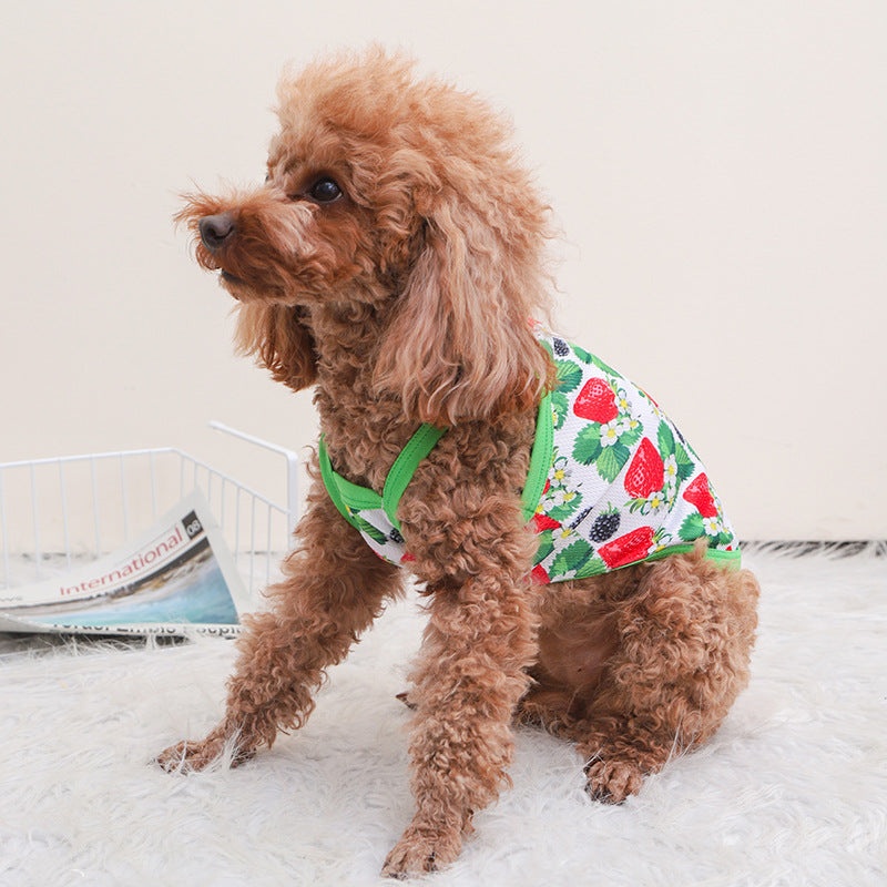 HKM-6954173 Breathable Outdoor Dog Sling Vest in Avocado, Strawberry, and Tropical Fruit ¨C XS to XL Sizes Available