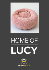 HKM-6959421 Customized Pet Bed with Soft Carpet - Dark Grey, 50cm, 60cm, 70cm Diameter, 40x60cm Size