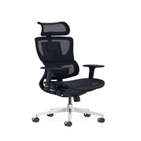 HKM-696275 Ergonomic Mesh Computer Desk Chair with Adjustable Features and Footrest