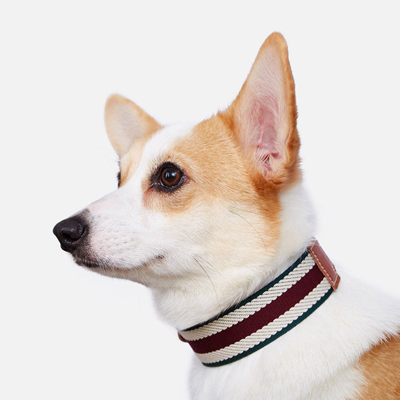HKM-6968893 Woven Adjustable Pet Collar in Retro Stripes - Cowhide - Sizes S to XL