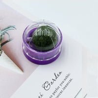 HKM-6972861 Rotating Catnip Ball for Cats - Molar Rod and Stress Relief Toy in Various Colors