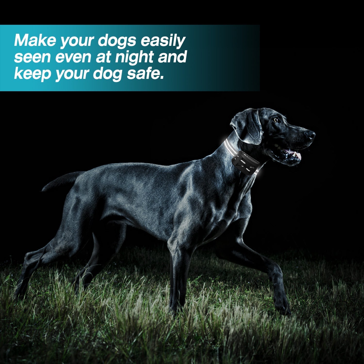 HKM-6974525 Wireless Electric Dog Fence and Training Collar System with Two Receiver Collars for Small to Large Dogs