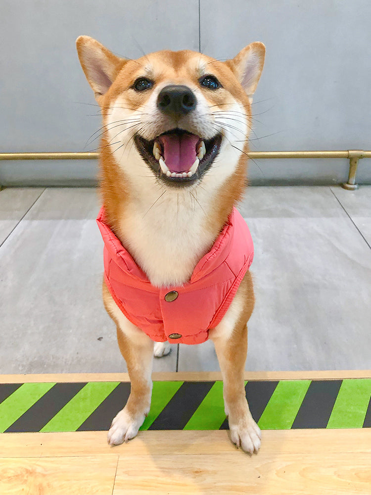 HKM-6975421 Thick Cotton Winter Vest for Medium-Sized Dogs ¨C Ideal for Corgis, Shiba Inus, and Bichons