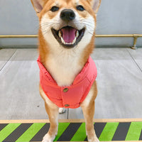 HKM-6975421 Thick Cotton Winter Vest for Medium-Sized Dogs ¨C Ideal for Corgis, Shiba Inus, and Bichons
