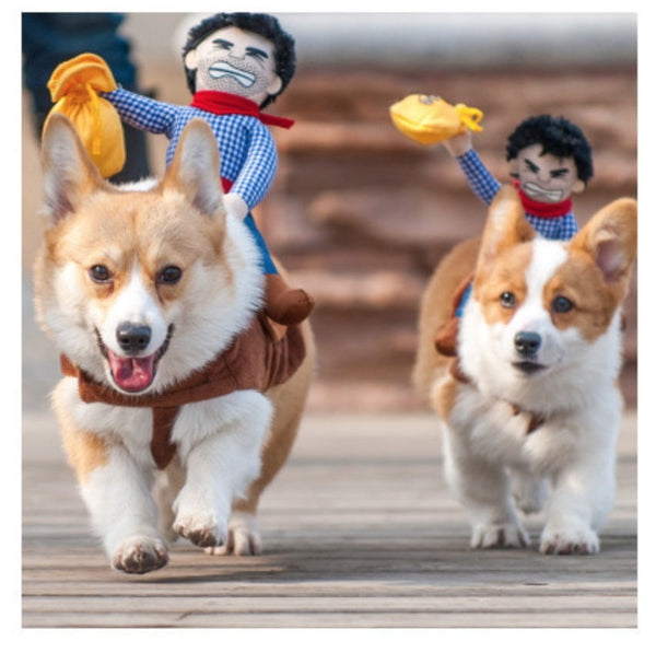 HKM-6979005 Stylish and Comfortable Pet Clothes for Dogs and Cats, Easy to Wear and Clean, Warm Fabric, Various Sizes Available