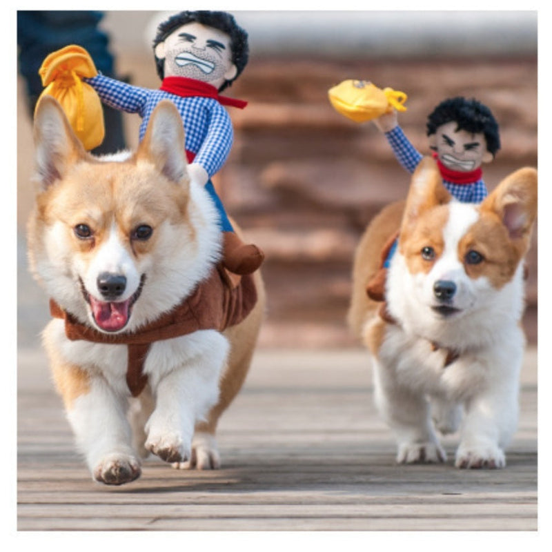 HKM-6979005 Stylish and Comfortable Pet Clothes for Dogs and Cats, Easy to Wear and Clean, Warm Fabric, Various Sizes Available