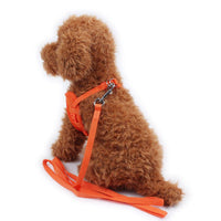 HKM-6981181 Breathable Mesh Dog Harness Vest for Comfortable No-Pull Walking