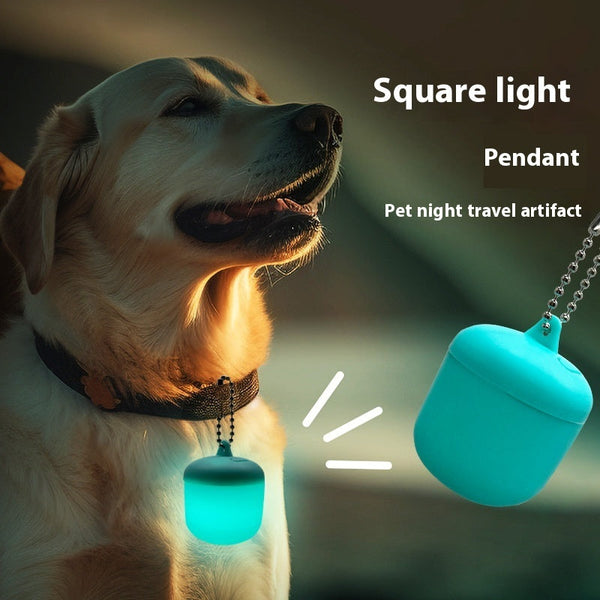 HKM-6982589 Pet Night Safety Light Pendant - Anti-Lost Dog Tag in Lake Blue or Orange, USB Rechargeable Silicone §ܧݧð§é§î