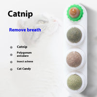 HKM-6983229 Molar Cat Toy Snack with Multiple Flavors and Durable Design for Dental Care