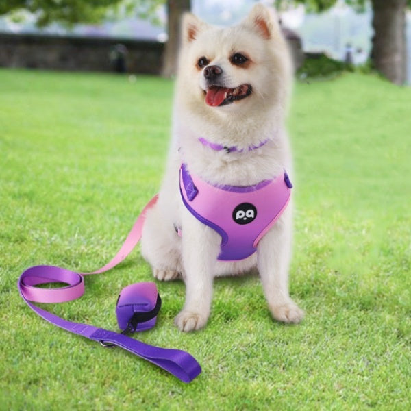 HKM-6995389 Adjustable Pet Harness and Leash Set in Pink Purple Gradient, Sapphire Blue Gradient, Flower Black, and Daisy Pink with Collar and Waste Bag