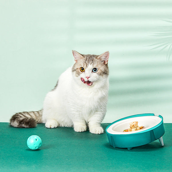 HKM-6996285 Eco-Friendly Disposable Cat and Dog Food Bowl with Non-Slip Base and Replaceable Paper Liners