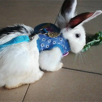 HKM-7001149 Vest-Style Chest Strap for Rabbits and Guinea Pigs - Adjustable Cloth Design