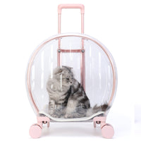 HKM-7004093 Transparent Cat Carrier Bag with Reinforced Structure and Rhombic Grid Design - Large Capacity in Pink and Green
