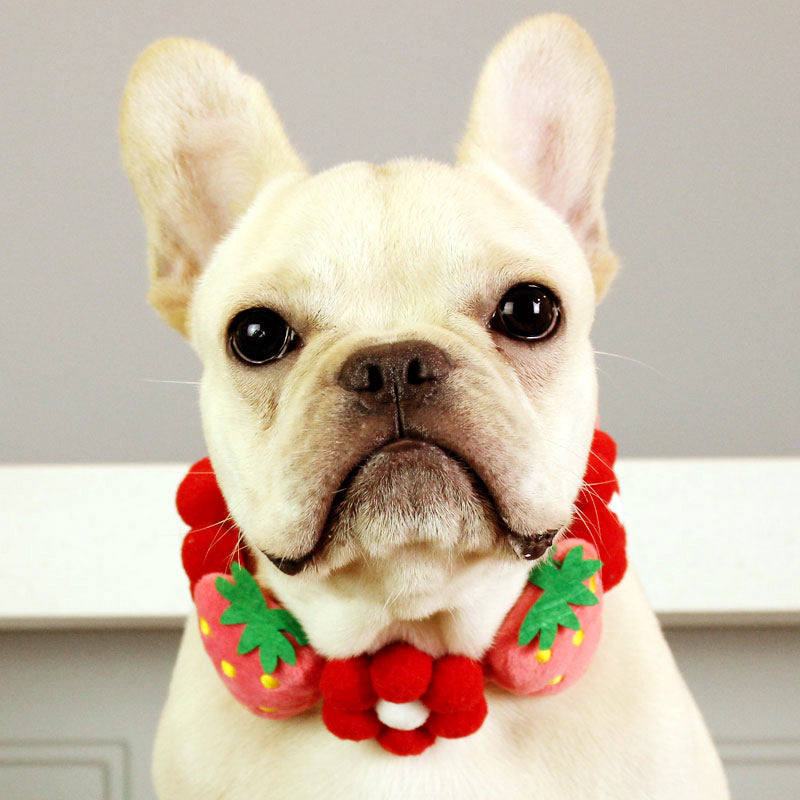 HKM-7010237 Strawberry Floral Cotton Collar for Medium to Large Dogs