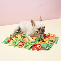 HKM-7012413 Rainbow Pet Sniffing Pad for Foraging Training - Soft Shaker Velvet, 35x25x4cm
