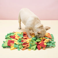 HKM-7012413 Rainbow Pet Sniffing Pad for Foraging Training - Soft Shaker Velvet, 35x25x4cm