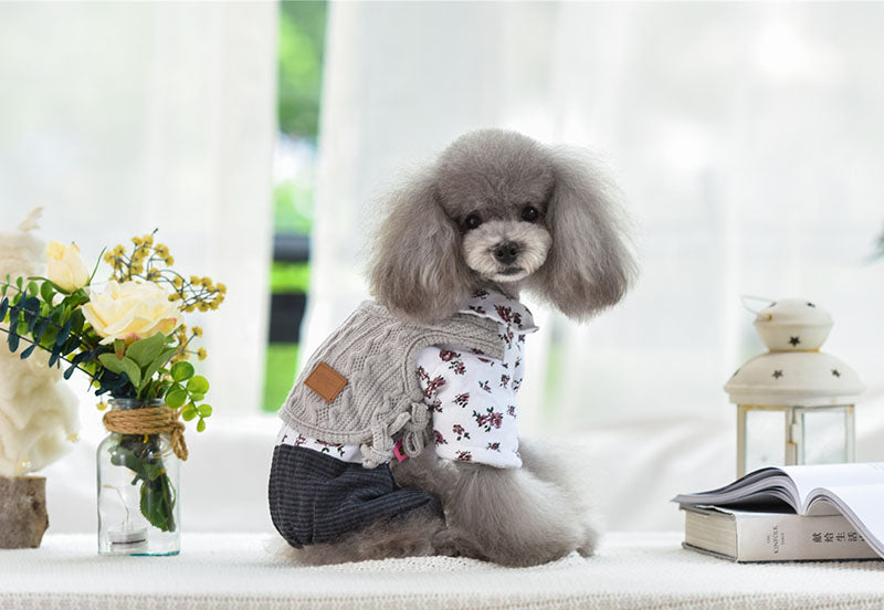 HKM-7013949 Cozy Cotton and Wool Teddy Dog Apparel for Autumn and Winter