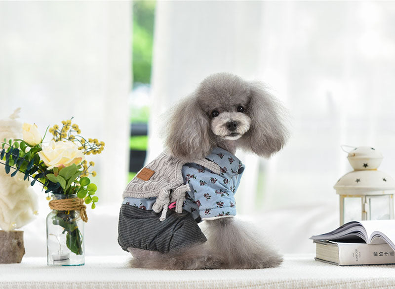 HKM-7013949 Cozy Cotton and Wool Teddy Dog Apparel for Autumn and Winter