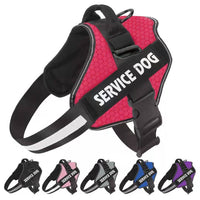 HKM-7022397 Adjustable Fashion Dog Chest Harness with Leash in Various Colors and Sizes