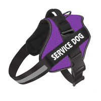 HKM-7022397 Adjustable Fashion Dog Chest Harness with Leash in Various Colors and Sizes