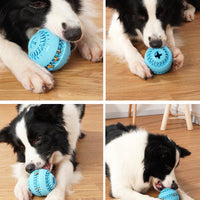 HKM-7023933 Natural Rubber Dog Molar Ball - Toothbrush Design for Effective Dental Cleaning, Available in Blue and Green