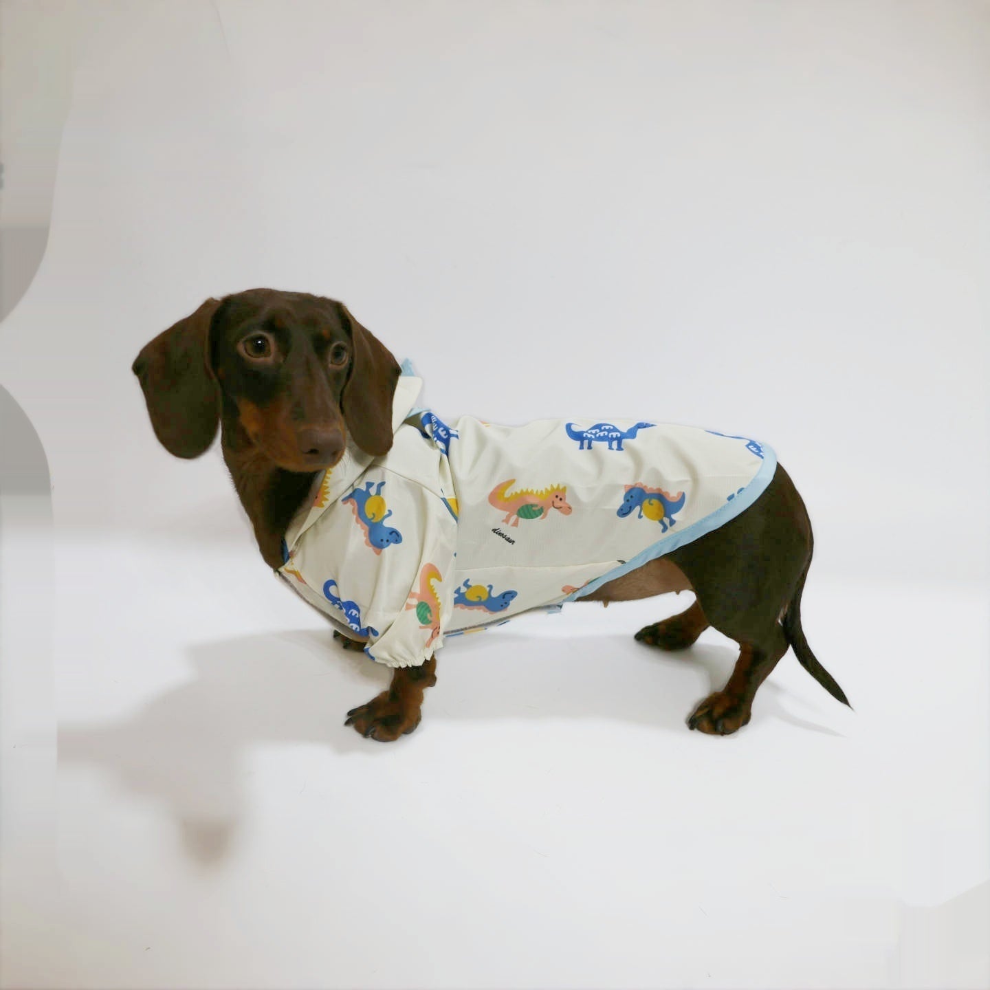 HKM-7033405 Dinosaur Design Splash-Proof Pet Raincoat for Spring and Summer, Multiple Sizes Available
